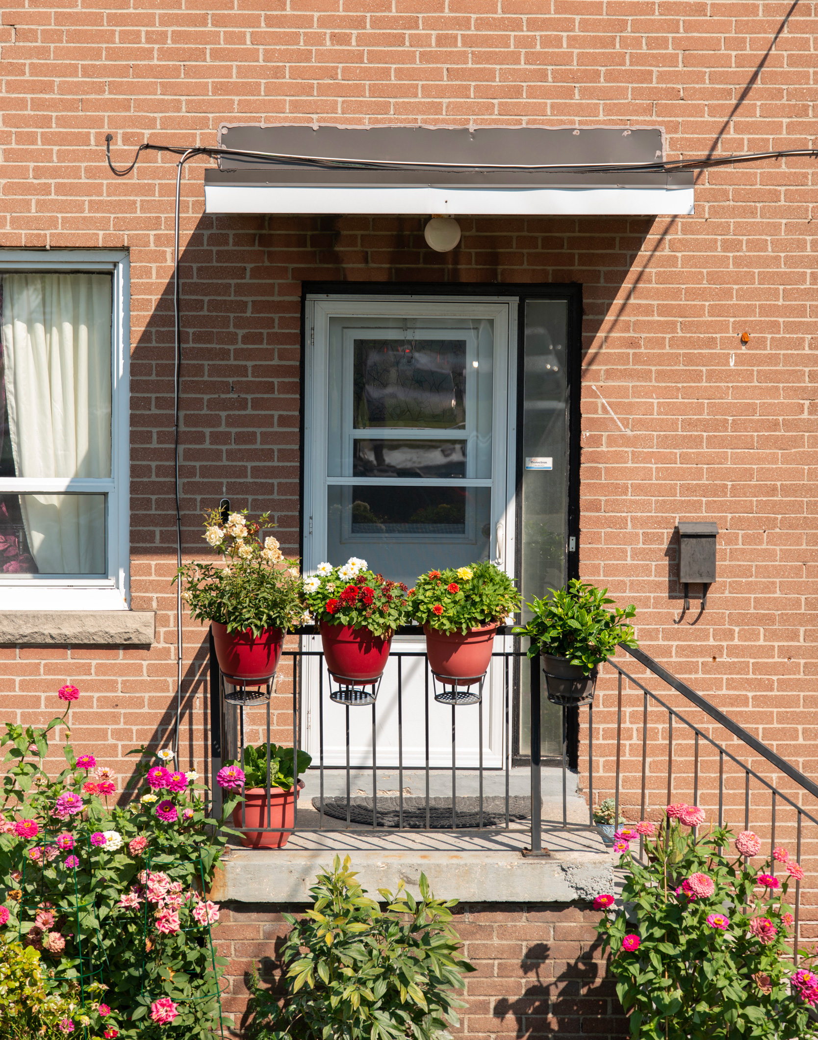 The front door of a house decorated with flower pots.